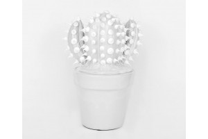 Cactus con Vaso C1057-S1-W